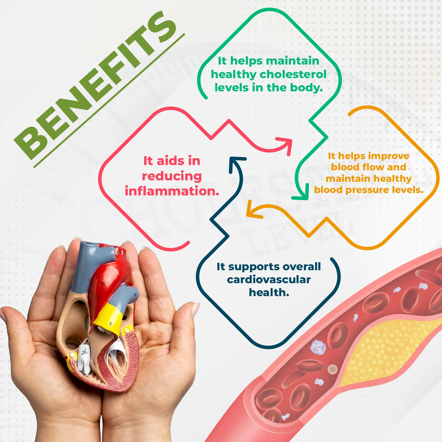 Richolest Capsule Benefits For Cardiovascular System